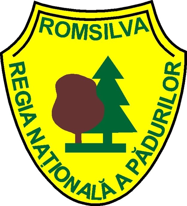 logo Romsilva