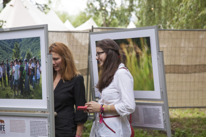 Photo exhibition of the Life Bison project at the Awake Festival in Romania.